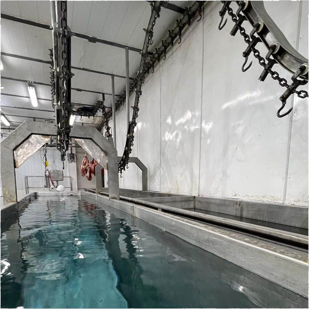 Panelería sanitaria y cámara de frío en obra de planta frigorífica — proyecto +BARQ