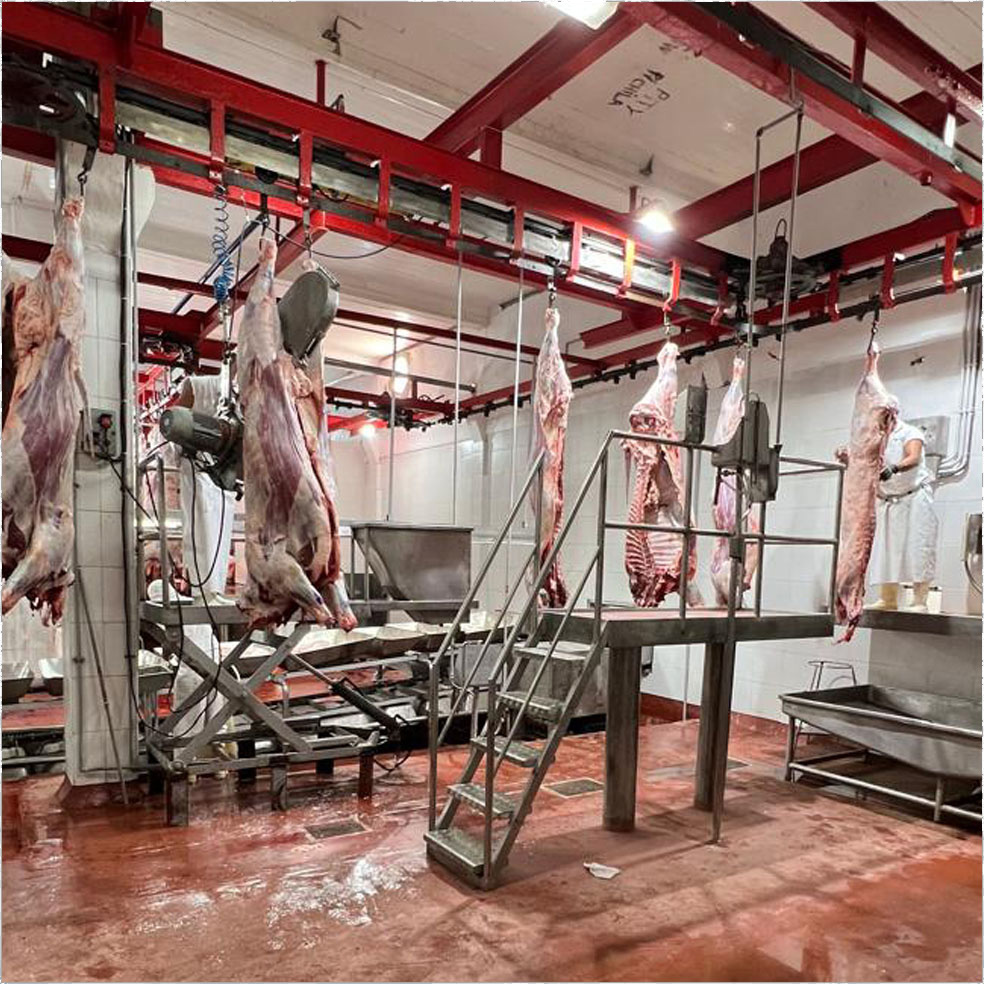 Instalación de cañerías de amoníaco para el sistema de frío industrial — proyecto +BARQ