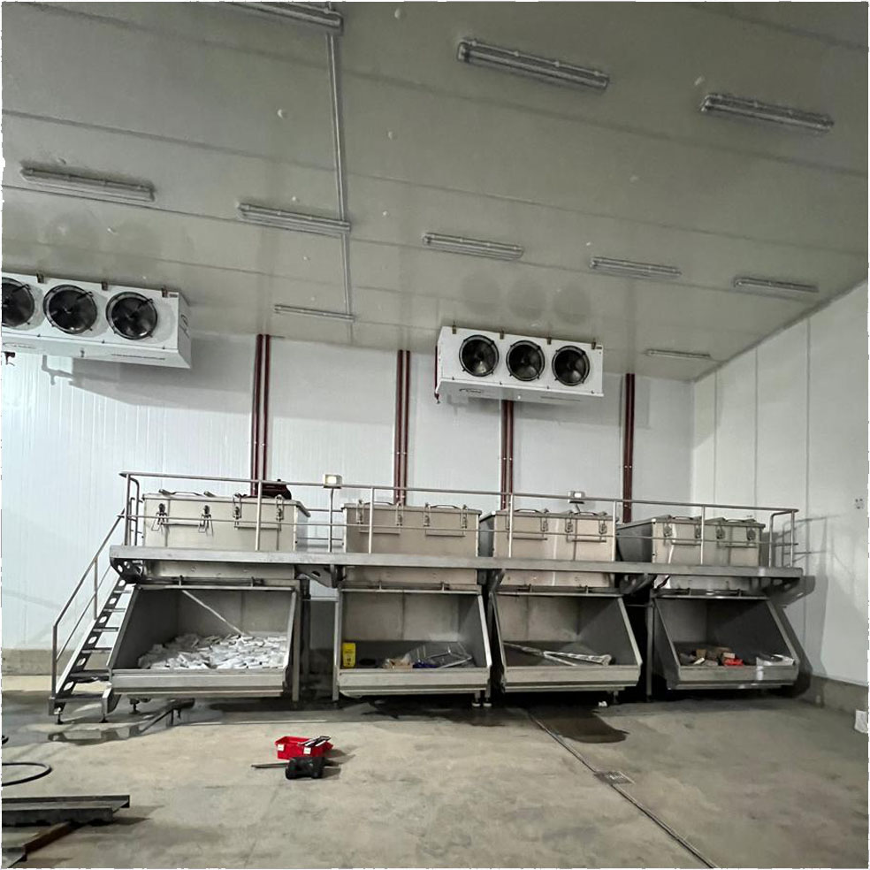 Estructura metálica y cerramiento de nave industrial frigorífica — proyecto +BARQ