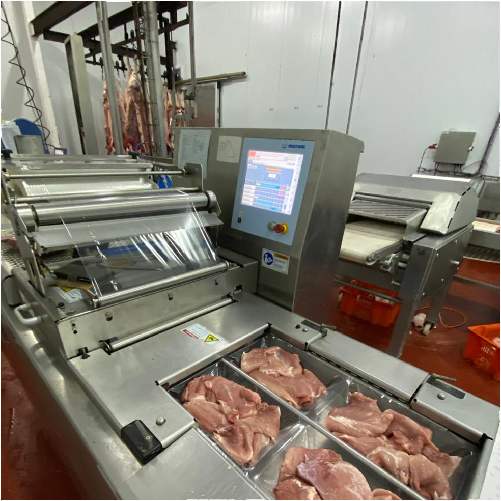 Sector de despostada con equipamiento sanitario en planta frigorífica — proyecto +BARQ